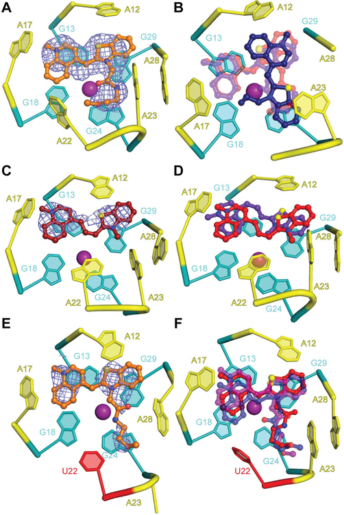 Figure 3 ∣