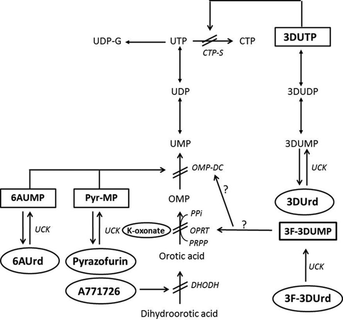 FIGURE 2.