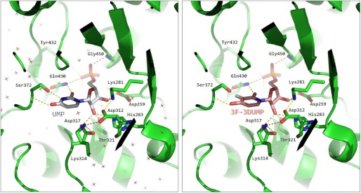 FIGURE 7.