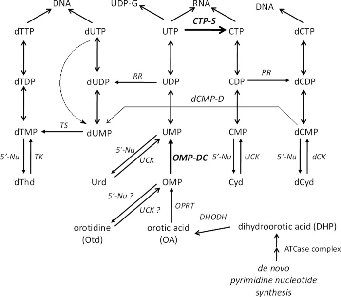 FIGURE 1.