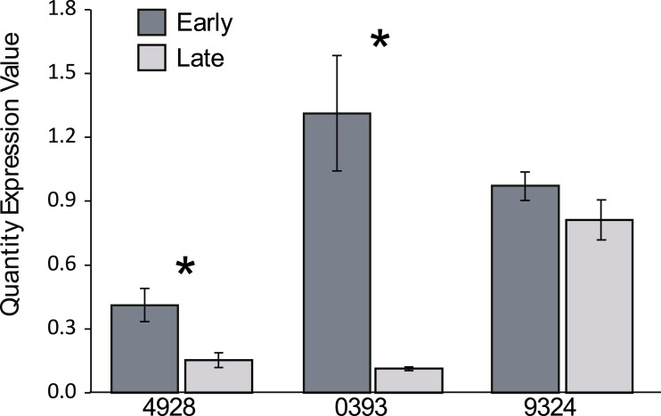 Figure 5