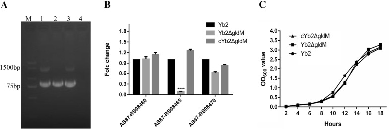 Figure 1