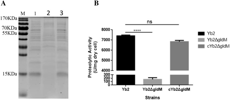 Figure 4