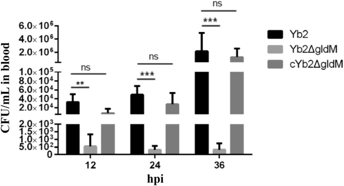 Figure 6