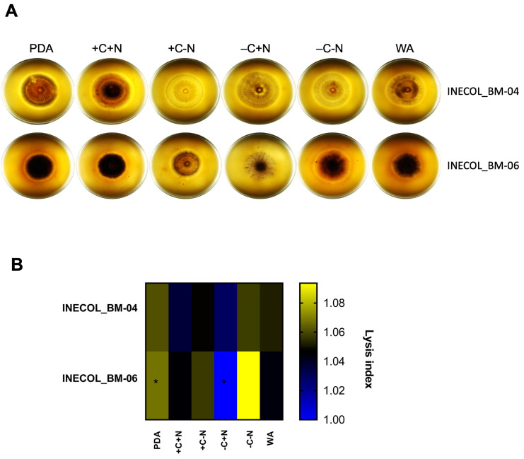 Figure 7