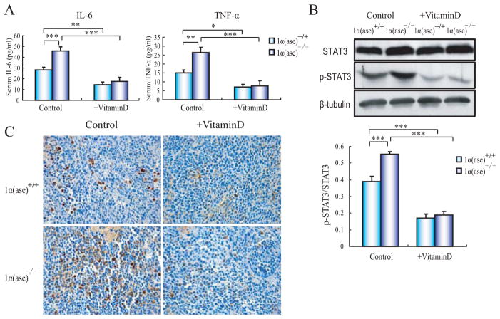 Fig. (3)