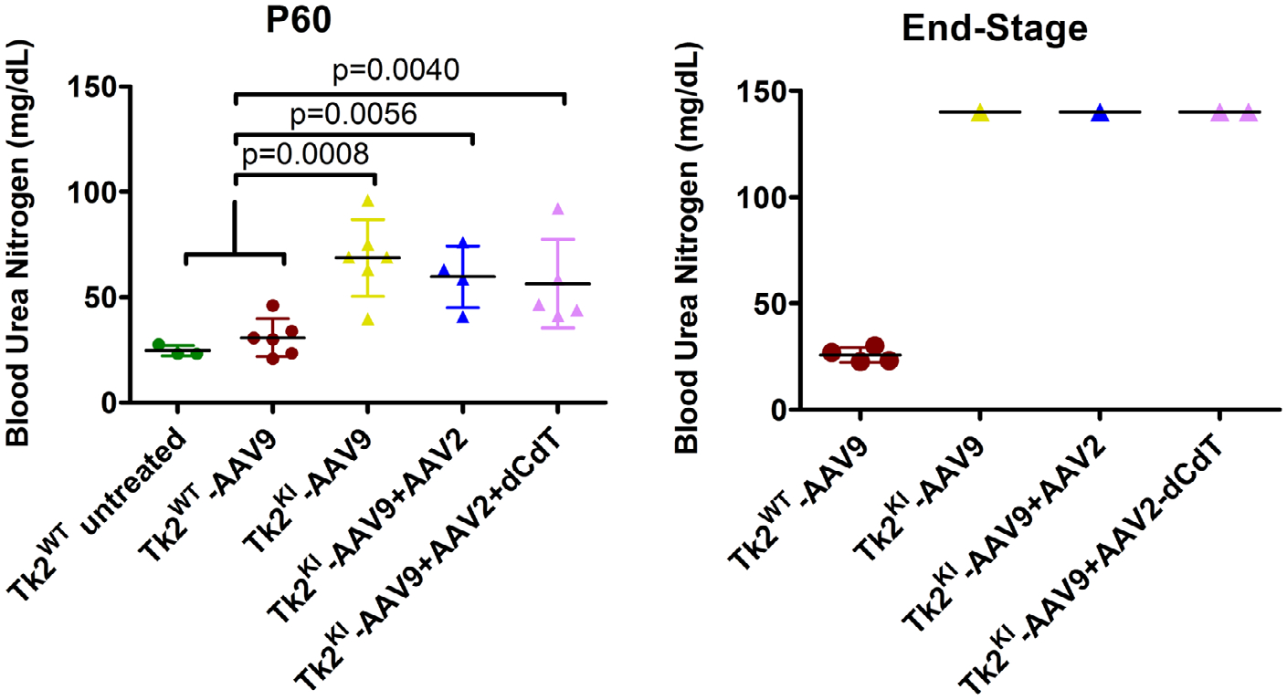 FIGURE 7: