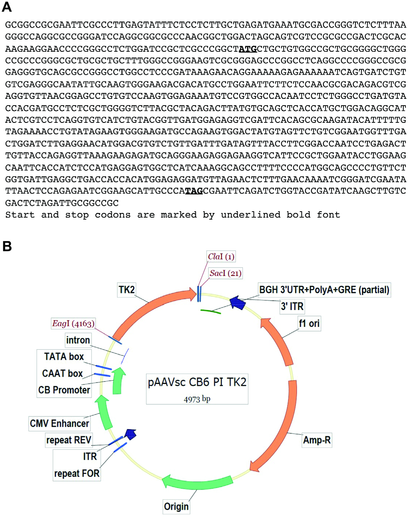 FIGURE 1: