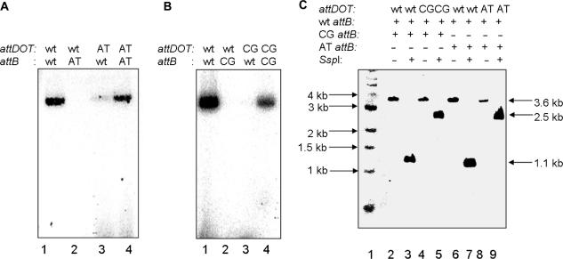 Figure 7.