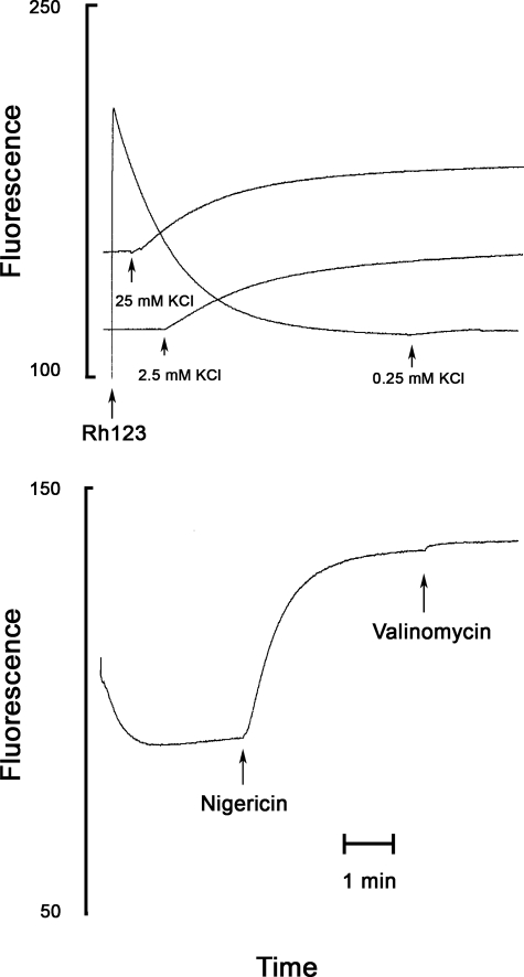 FIGURE 7.