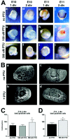 Fig. 10.