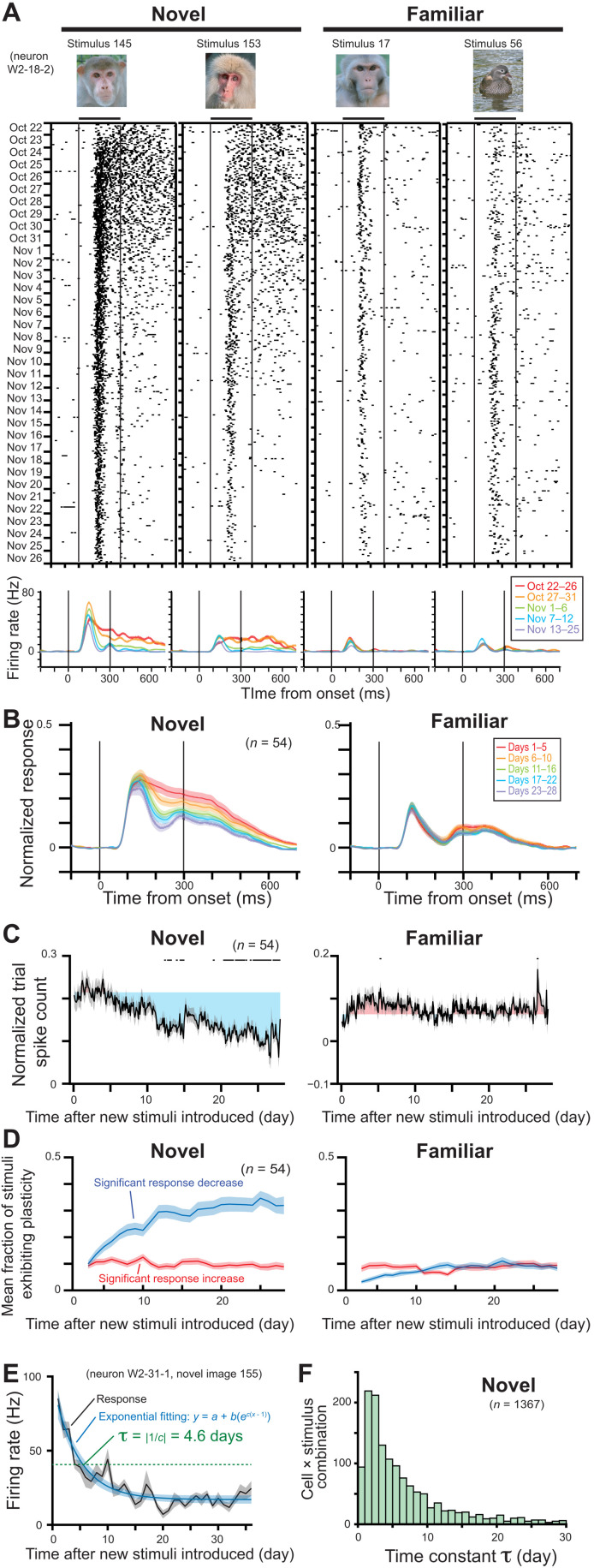 Fig. 2.