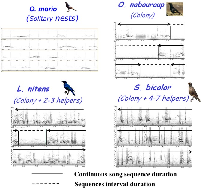 Figure 11