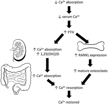 Fig. 3