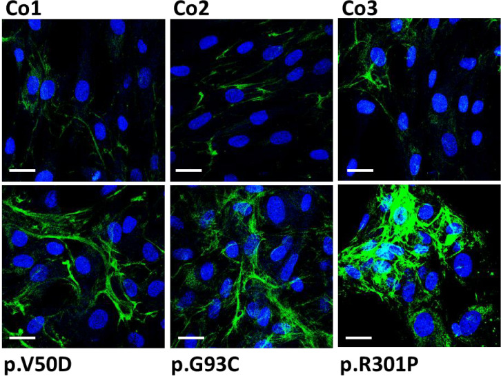 Figure 3