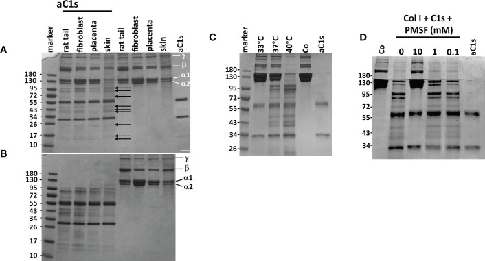 Figure 5