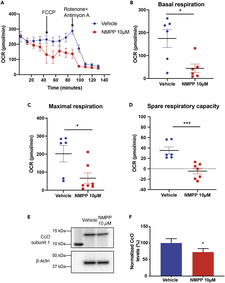 Figure 6