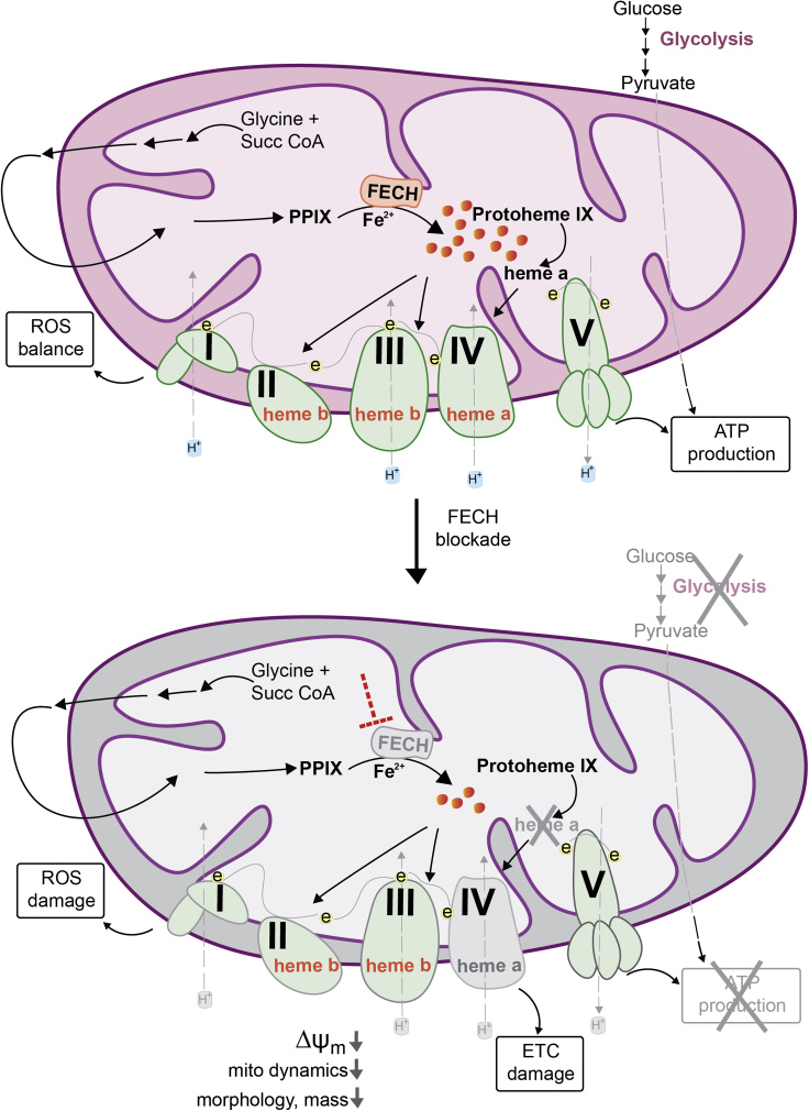 Figure 7