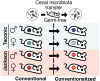 Fig. 3: