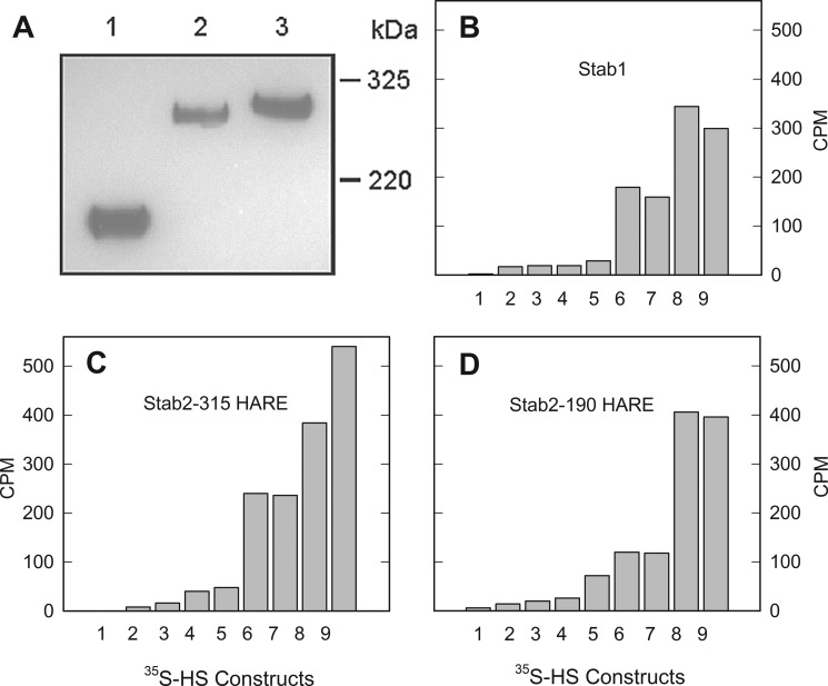 FIGURE 4.