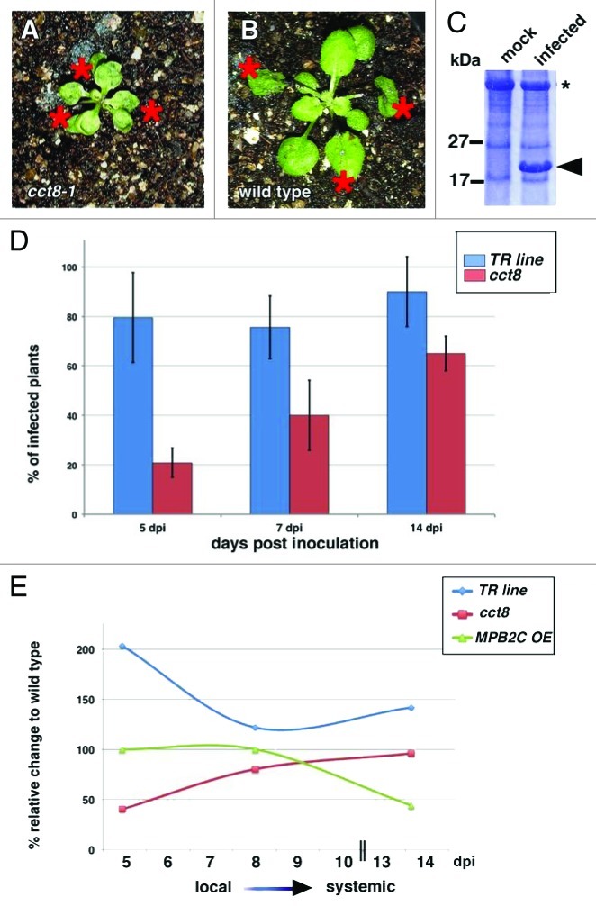 Figure 1. 