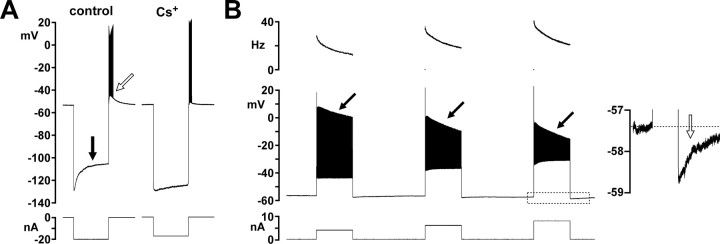 Figure 7.