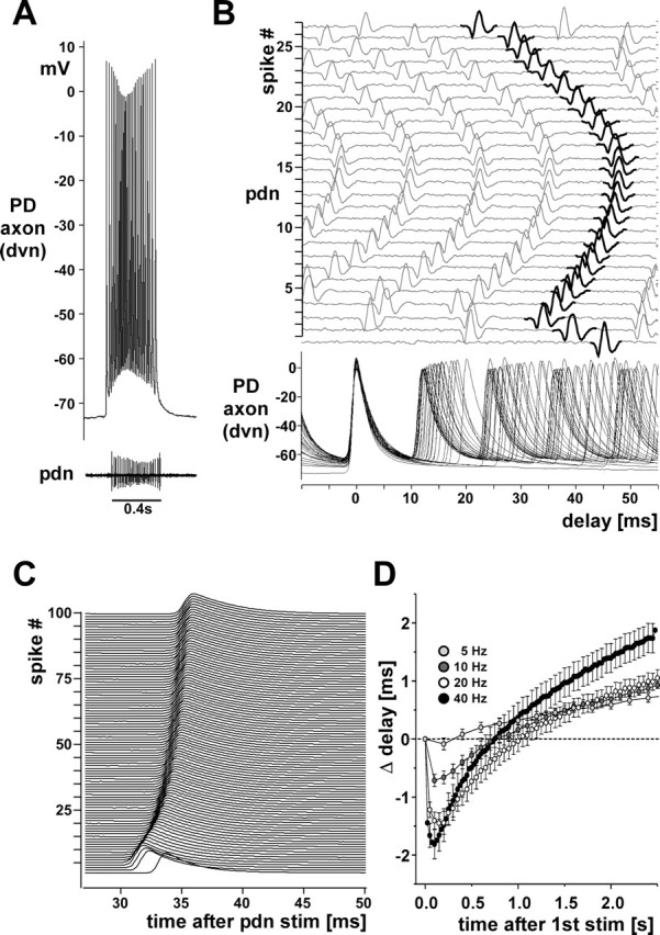 Figure 11.