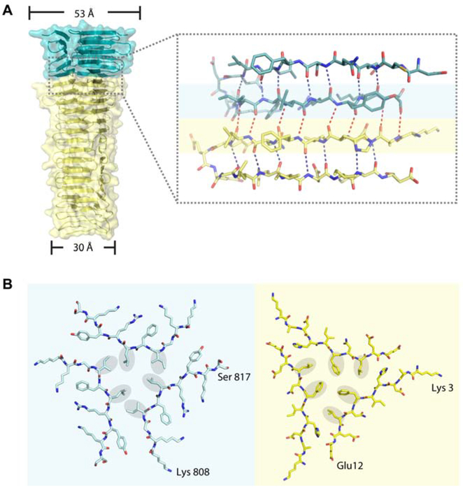 Figure 5.