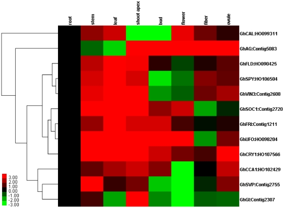 Figure 4