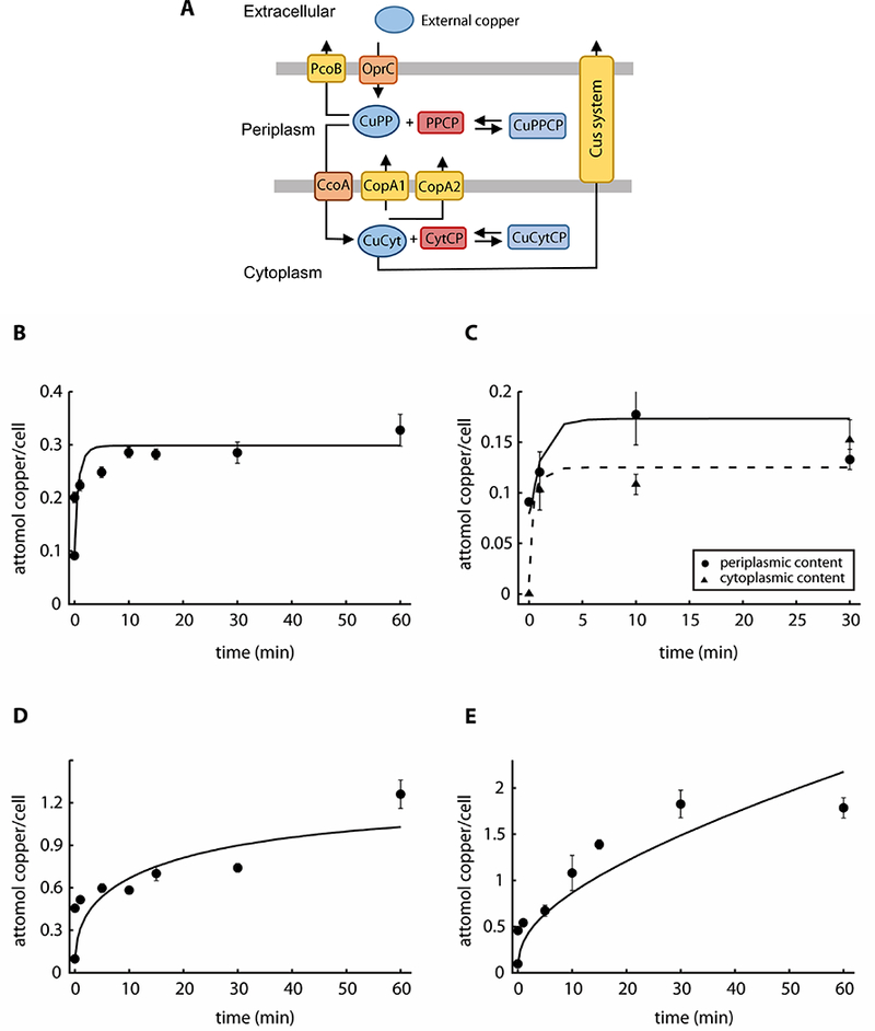 Figure 3.