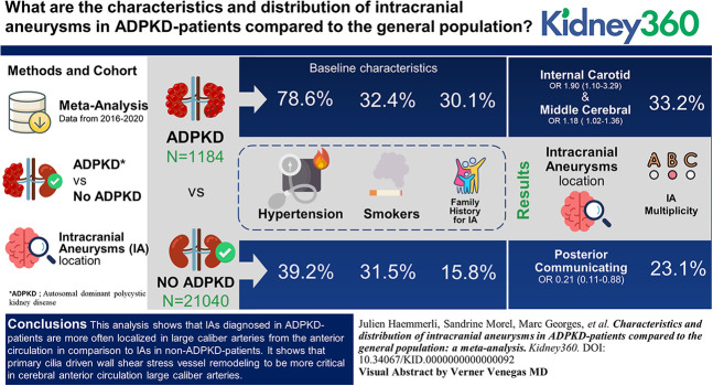 graphic file with name kidney360-4-e466-g001.jpg