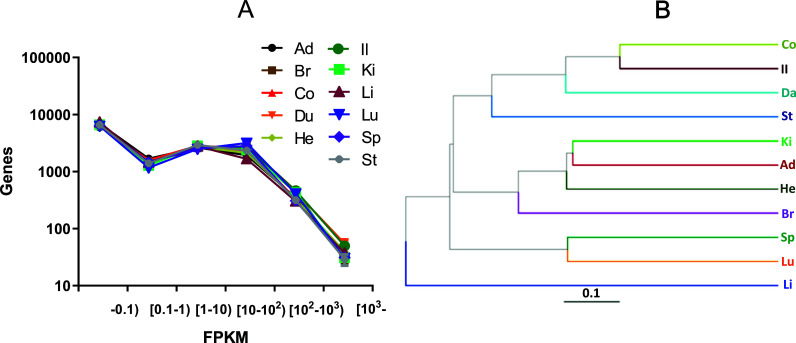 Fig. (1)