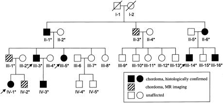 Figure  1