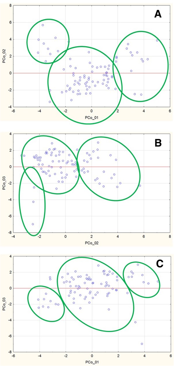 Fig. 2