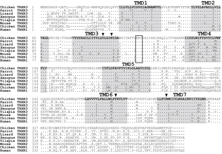 Figure 2