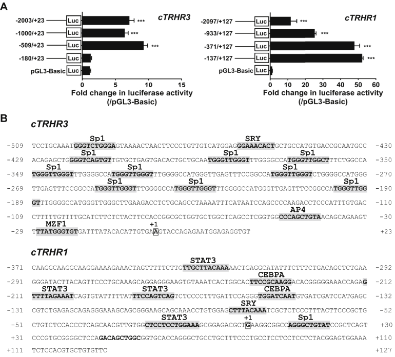 Figure 3