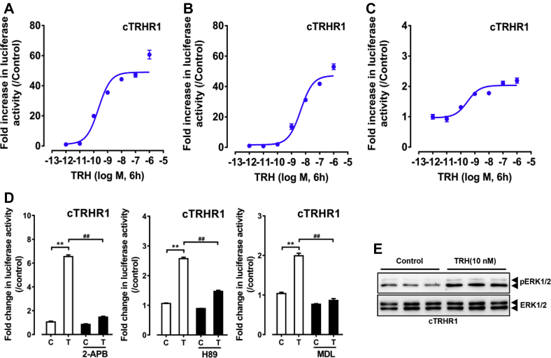 Figure 5