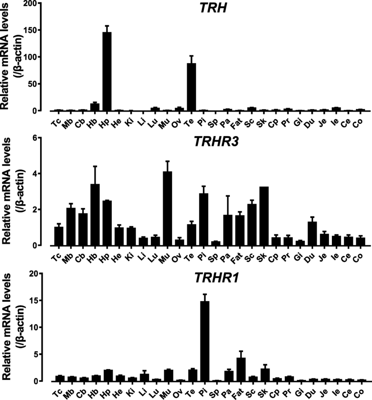 Figure 7