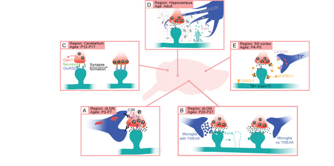 Figure 2