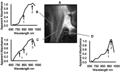 Fig. 4