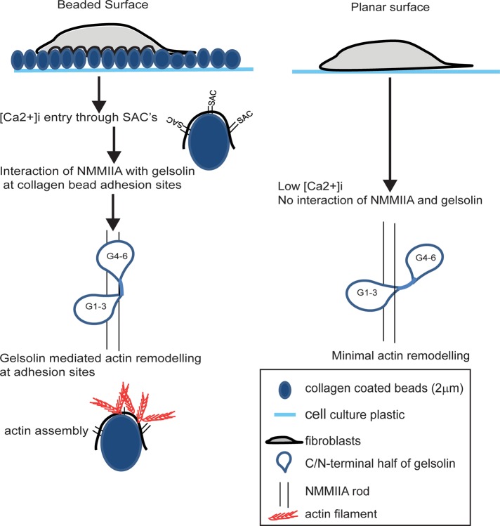 FIGURE 7: