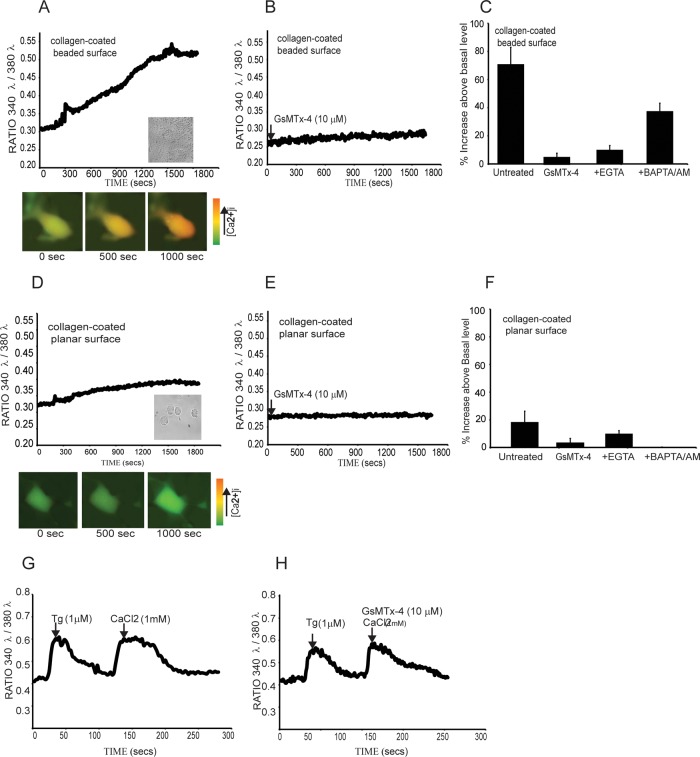 FIGURE 5: