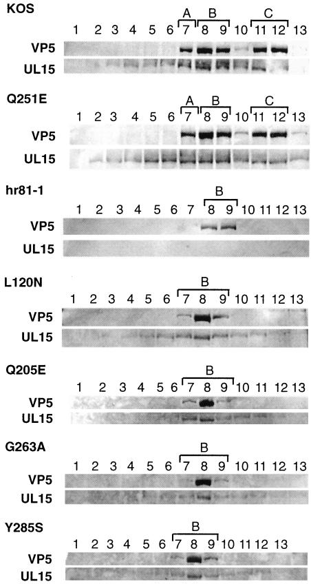 FIG. 6.