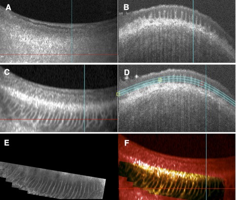 Figure 5.