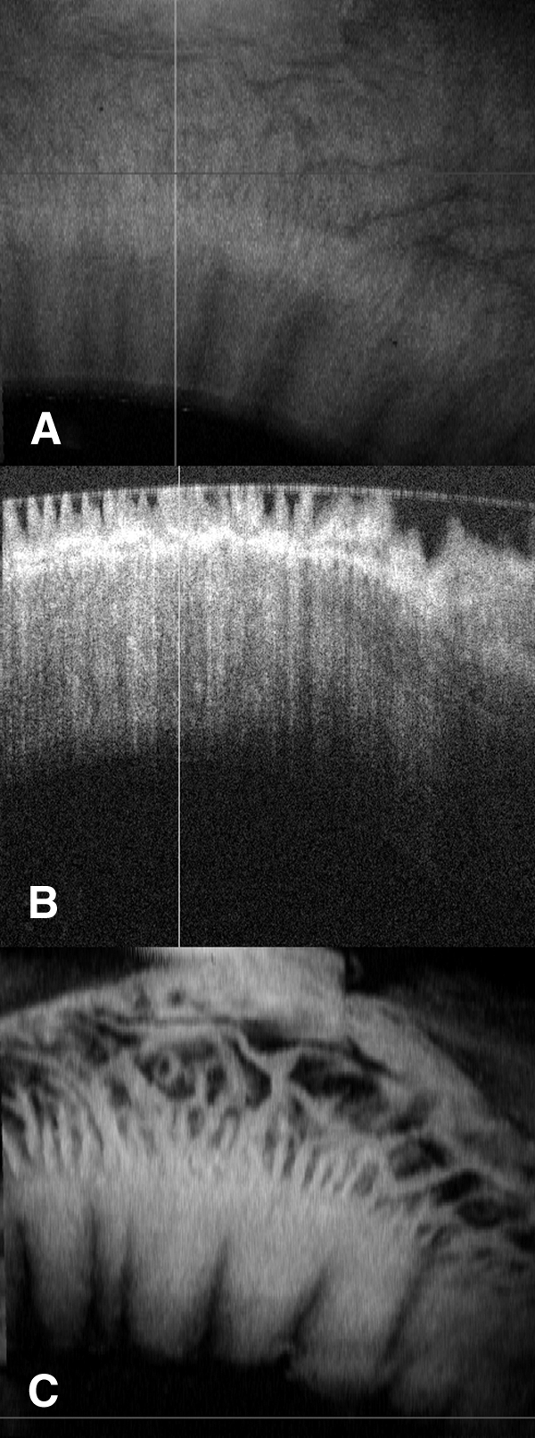 Figure 6.