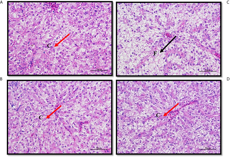 Figure 4