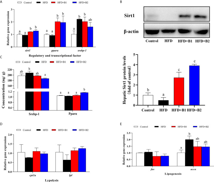 Figure 6