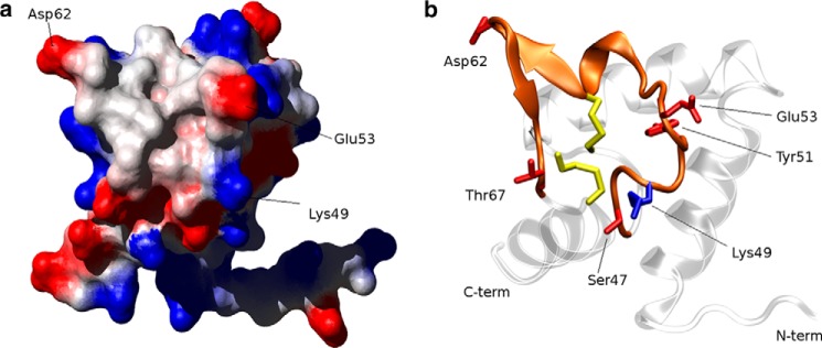 FIGURE 4.