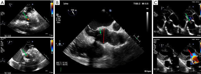 Figure 10