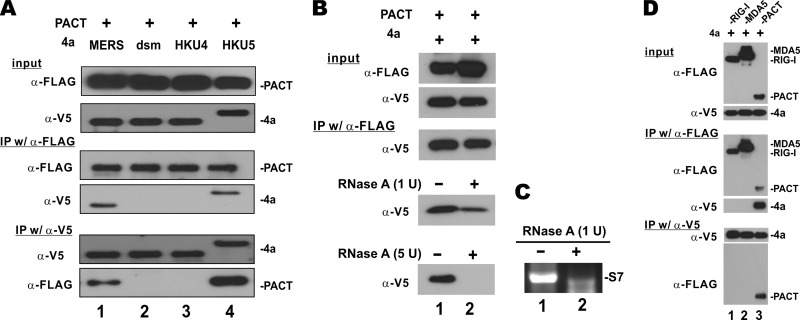 FIG 6